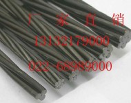 21.6鋼絞線廠家13132179000供應(yīng)